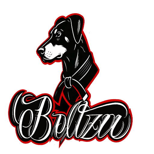 Gimnasio Beltza jiujitsu boxeo